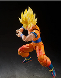 Goku Charging